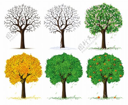 树的四季矢量素材