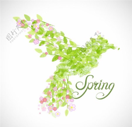 春季花鸟矢量图