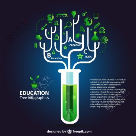 生态教育信息图表
