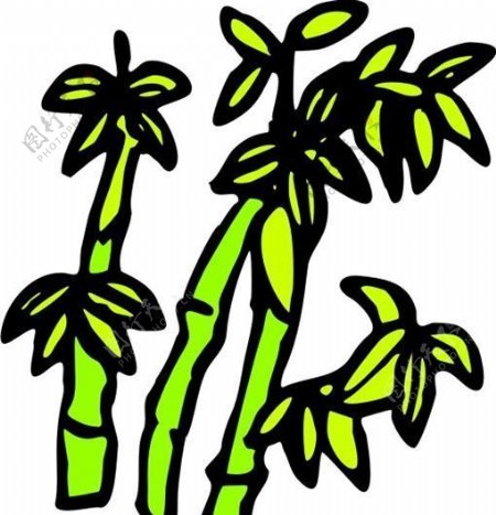 竹子植物图案矢量AI0001