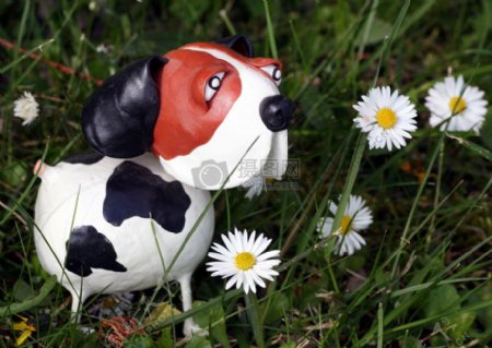 白色花朵旁的小狗雕像