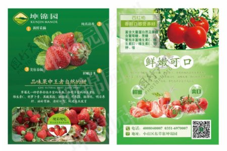 坤锦园绿包草莓西红柿宣传单