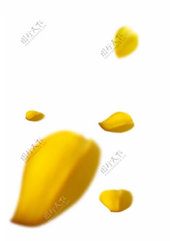 黄色花瓣漂浮元素