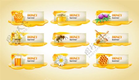 蜂蜜标签设计图片