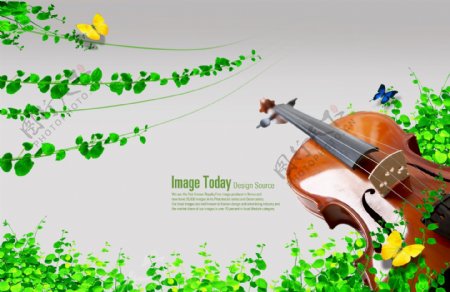 绿叶和小提琴