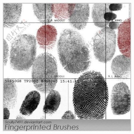 多种手指指纹痕迹photoshop笔刷素材