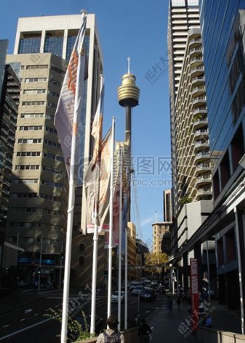 悉尼Tower.jpg
