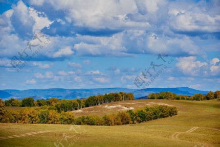 内蒙古乌兰布统草原风景