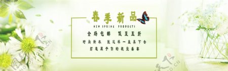 春季新品淡雅绿色清新淘宝海报banner