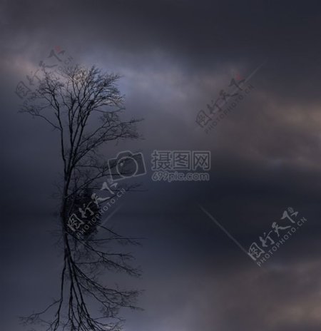 雨雾中的湖面和树木