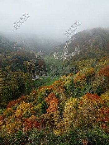 云雾中的秋天树林