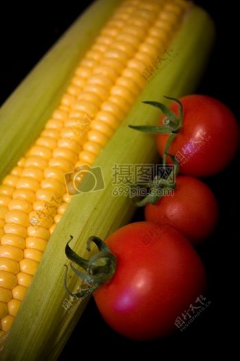 新鲜成熟的玉米