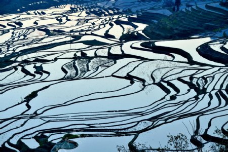 云南元阳梯田风景