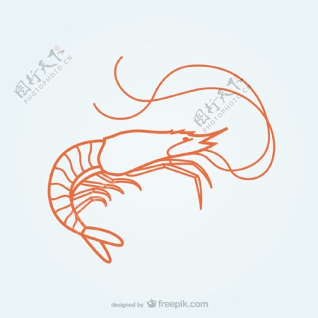 龙虾的插图