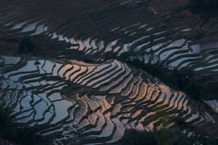 云南元阳梯田风景