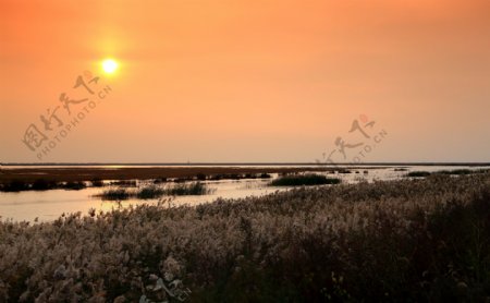 天津大港湿地公园夕阳风景