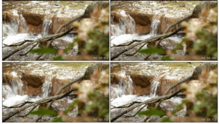流水枯叶汇集视频素材