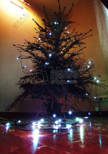 灯针圣诞节树