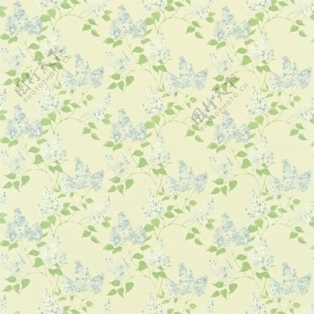 绿色小翠花布纹壁纸图片