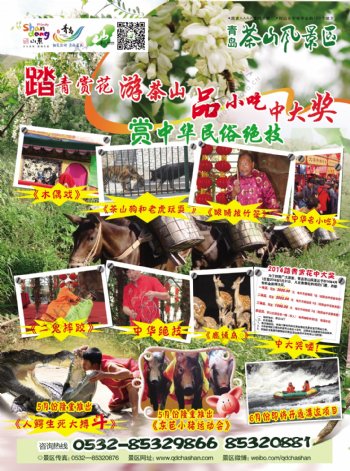 茶山景区槐花节宣传彩图片