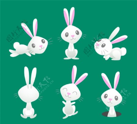 白色兔子设计矢量素材