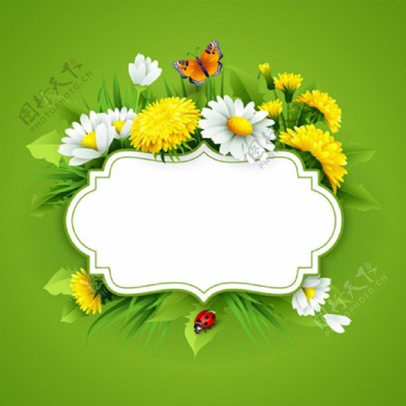 绿色花朵图框矢量背景