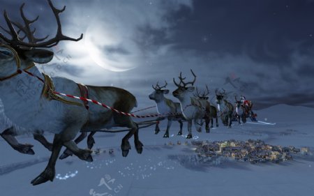 唯美圣诞节麋鹿背景图片