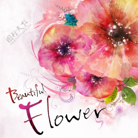 唯美浪漫花朵宣传设计海报