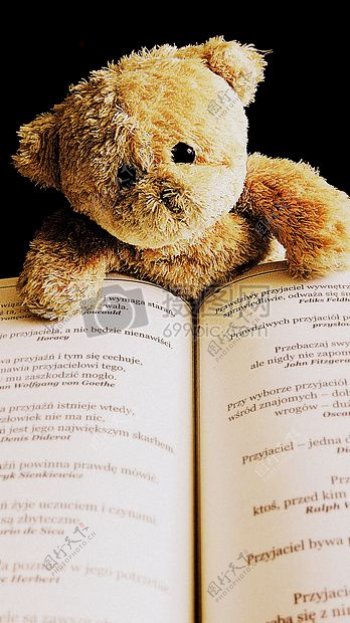 阅读书籍的泰迪熊