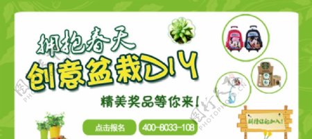 创意盆栽diy