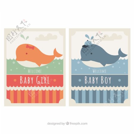 婴儿沐浴卡片与可爱的鲸鱼