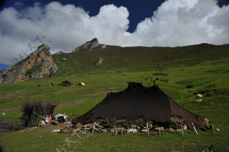 藏区牧民帐篷图片