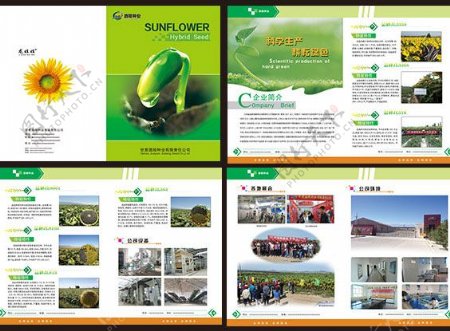 绿色种子企业画册设计模板