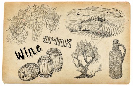 酒桶葡萄树木葡萄园线稿图案图片