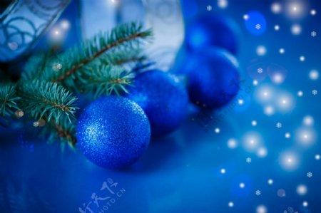 蓝色背景下的圣诞球与松枝图片
