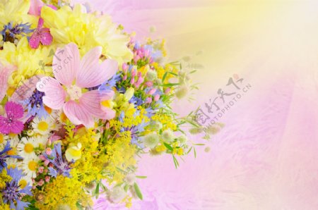 花卉背景图片图片
