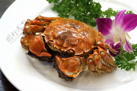 螃蟹美食摄影图片