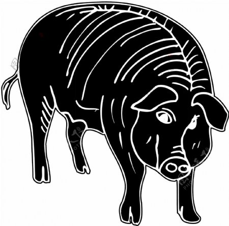 猪家畜动物剪影矢量素材EPS格式0008