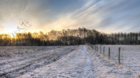 冬天雪地与日出美景图片