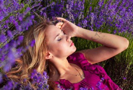 紫色花丛中睡觉的女人图片