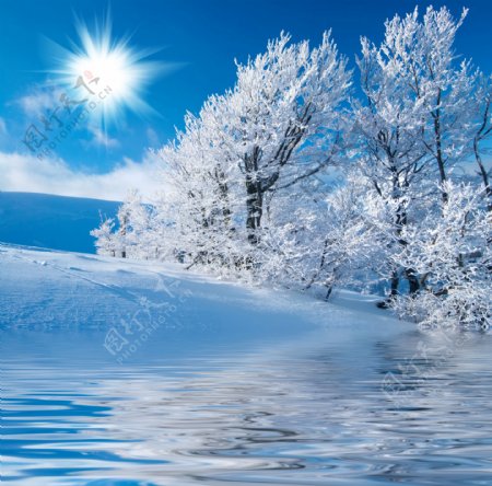冬天的湖泊景象图片