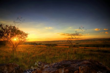 落日黄昏时的草原风光图片