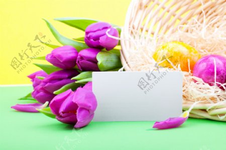 桌子上的郁金香和彩蛋图片