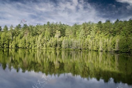 海自然森林树木湖泊冷杉反射银行高清壁纸和平