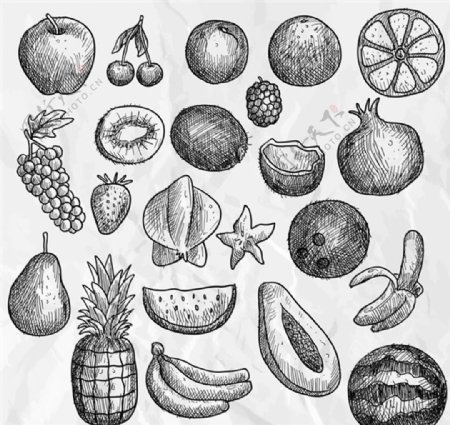 素描手绘22款水果