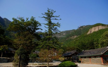 Naesosa