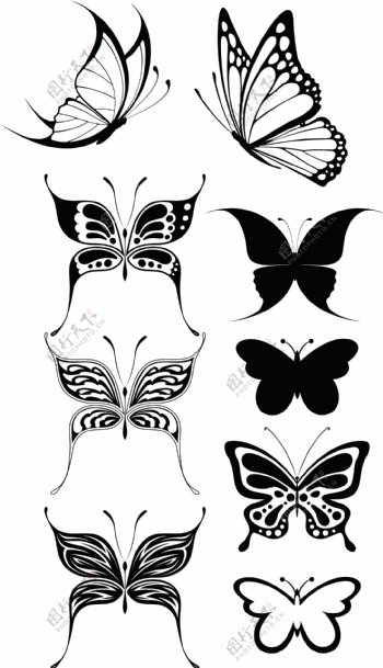 黑白蝴蝶图案矢量图