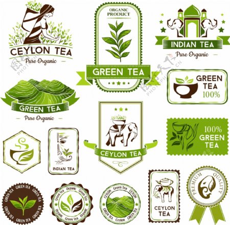 绿色绿茶图标