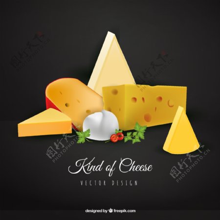 各种真实奶酪