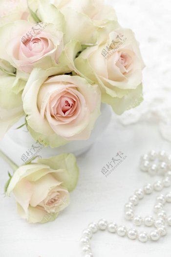 玫瑰花与珍珠项链图片